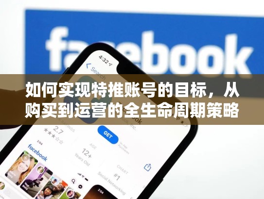 如何实现特推账号的目标，从购买到运营的全生命周期策略，怎样买一个特推账号呢