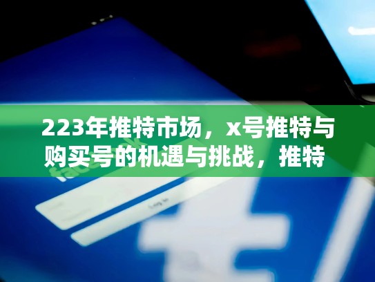 223年推特市场，x号推特与购买号的机遇与挑战，推特 买号