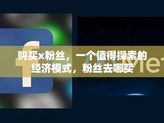 购买x粉丝,一个值得探索的经济模式,粉丝去哪买