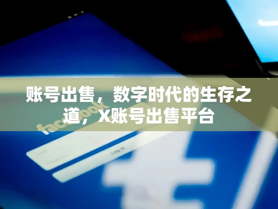 账号出售，数字时代的生存之道，X账号出售平台