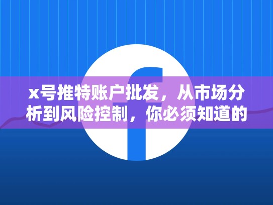 x号推特账户批发，从市场分析到风险控制，你必须知道的推广策略，推特号卖