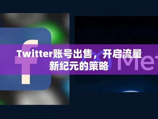 Twitter账号出售,开启流量新纪元的策略