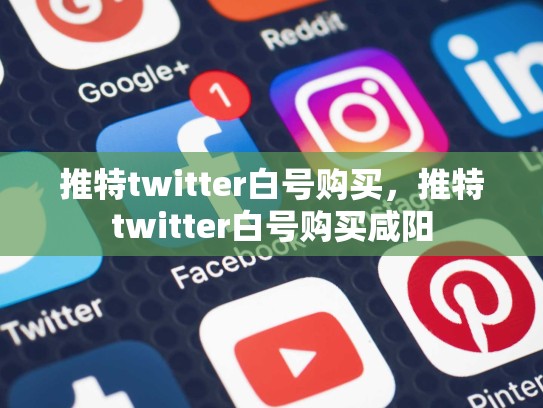推特twitter白号购买，推特twitter白号购买咸阳
