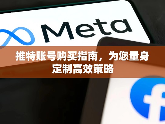推特账号购买指南，为您量身定制高效策略