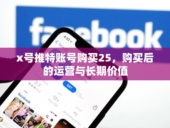 x号推特账号购买25，购买后的运营与长期价值