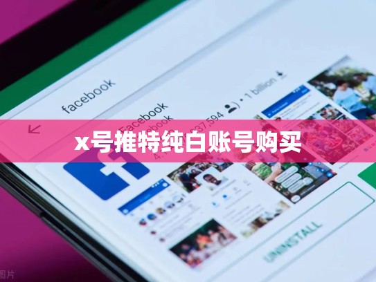x号推特纯白账号购买