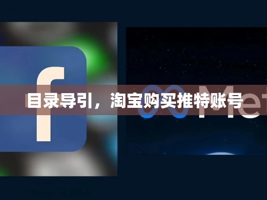 目录导引,淘宝购买推特账号