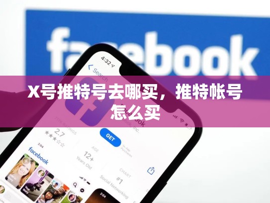 X号推特号去哪买,推特帐号怎么买