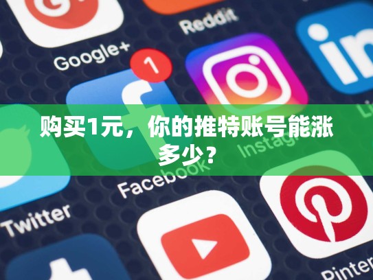购买1元，你的推特账号能涨多少？