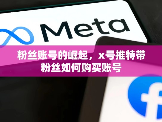 粉丝账号的崛起，x号推特带粉丝如何购买账号