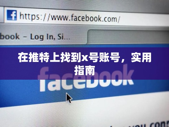 在推特上找到x号账号，实用指南