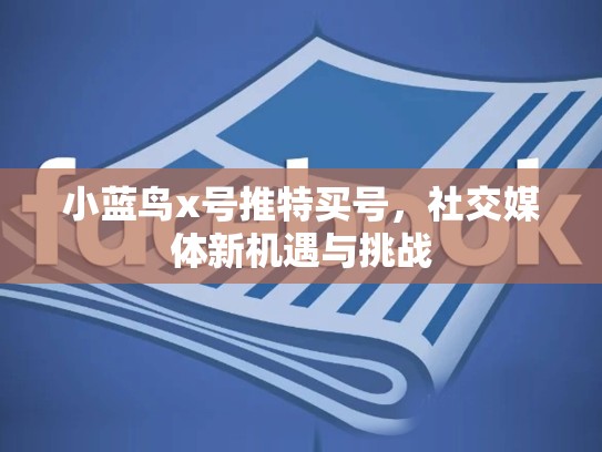 小蓝鸟x号推特买号，社交媒体新机遇与挑战