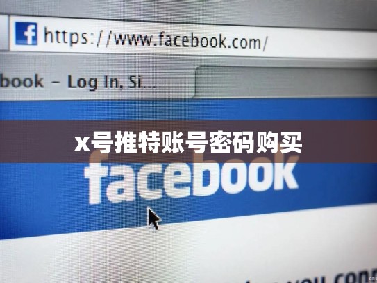 x号推特账号密码购买