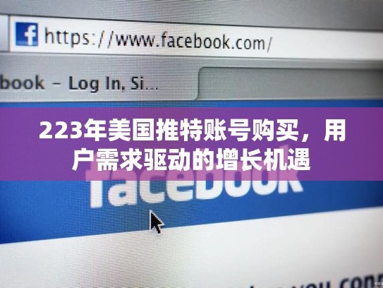 223年美国推特账号购买，用户需求驱动的增长机遇