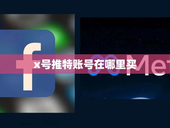 x号推特账号在哪里买
