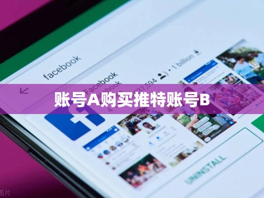 账号A购买推特账号B