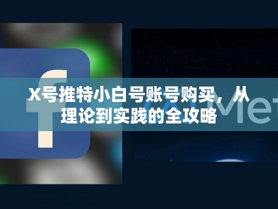 X号推特小白号账号购买，从理论到实践的全攻略