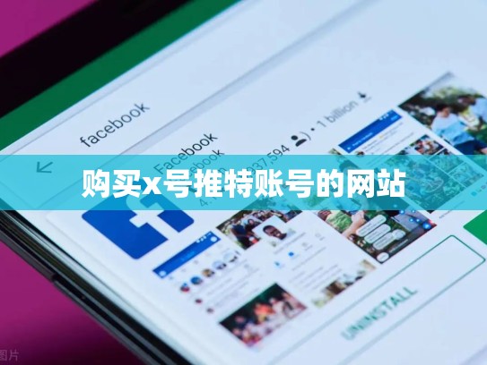 购买x号推特账号的网站