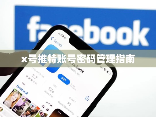 x号推特账号密码管理指南