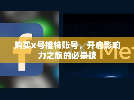 购买x号推特账号,开启影响力之旅的必杀技