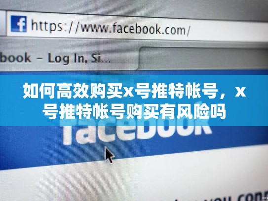 如何高效购买x号推特帐号,x号推特帐号购买有风险吗