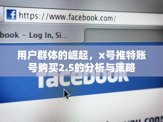 用户群体的崛起，x号推特账号购买2.5的分析与策略