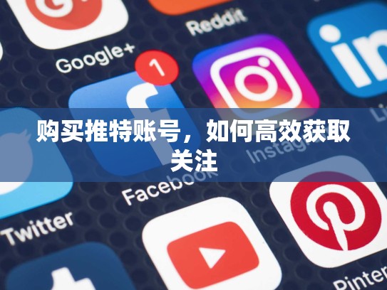 购买推特账号，如何高效获取关注