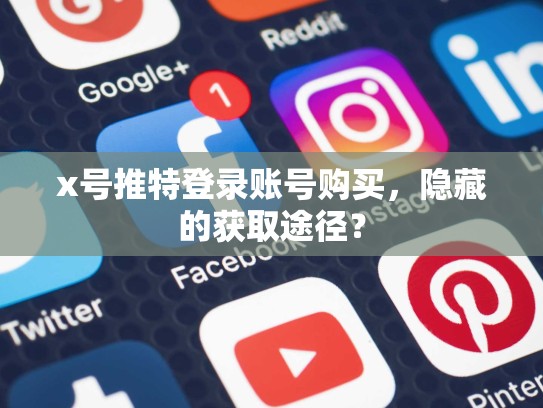 x号推特登录账号购买，隐藏的获取途径？