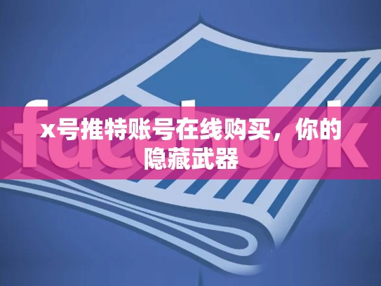 x号推特账号在线购买，你的隐藏武器