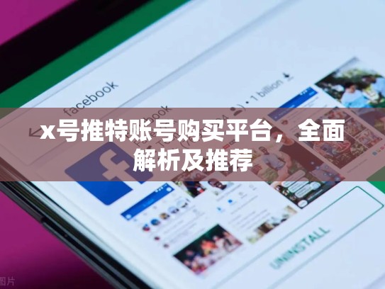 x号推特账号购买平台，全面解析及推荐
