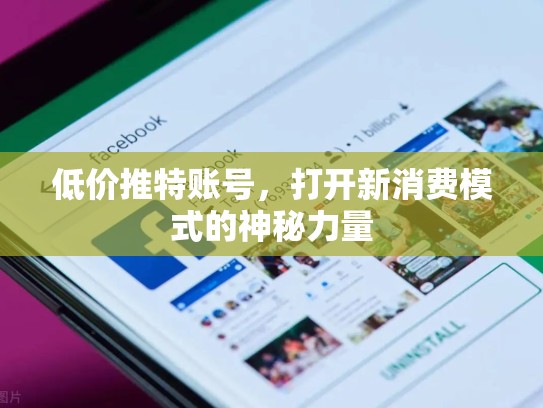 低价推特账号，打开新消费模式的神秘力量