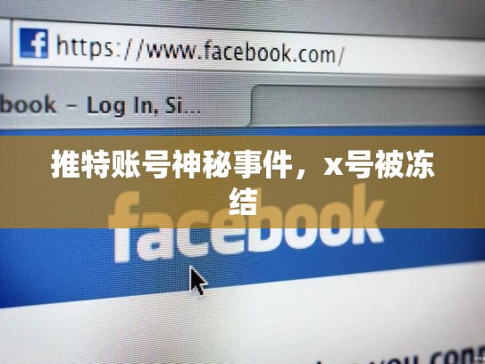 推特账号神秘事件，x号被冻结