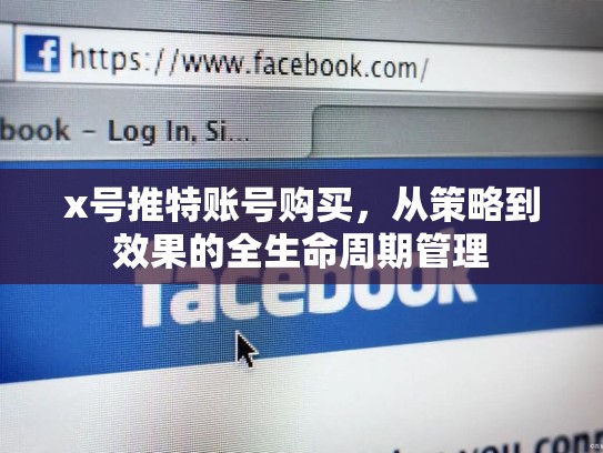 x号推特账号购买,从策略到效果的全生命周期管理