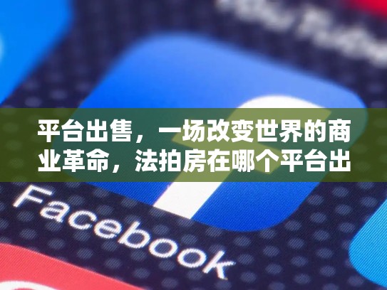 平台出售，一场改变世界的商业革命，法拍房在哪个平台出售