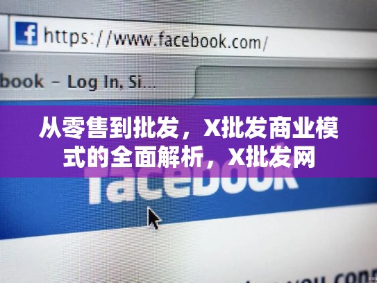从零售到批发，X批发商业模式的全面解析，X批发网