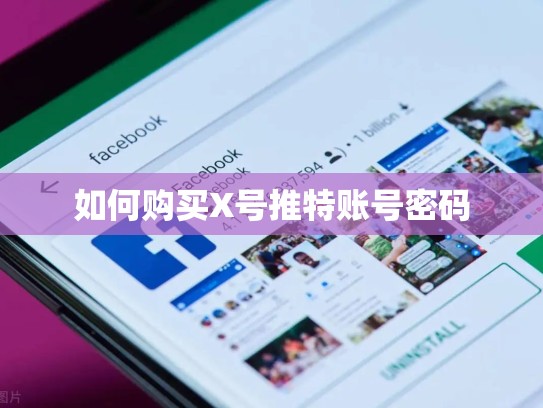 如何购买X号推特账号密码