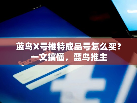 蓝鸟X号推特成品号怎么买？一文搞懂，蓝鸟推主