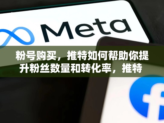 粉号购买，推特如何帮助你提升粉丝数量和转化率，推特 买号