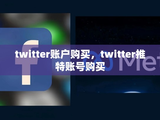 twitter账户购买，twitter推特账号购买