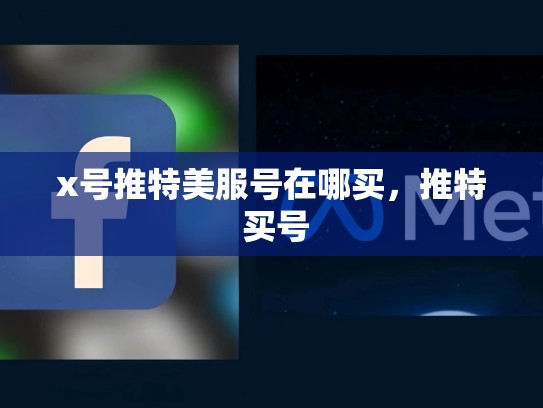 x号推特美服号在哪买，推特 买号