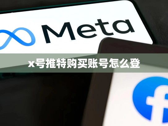 x号推特购买账号怎么登