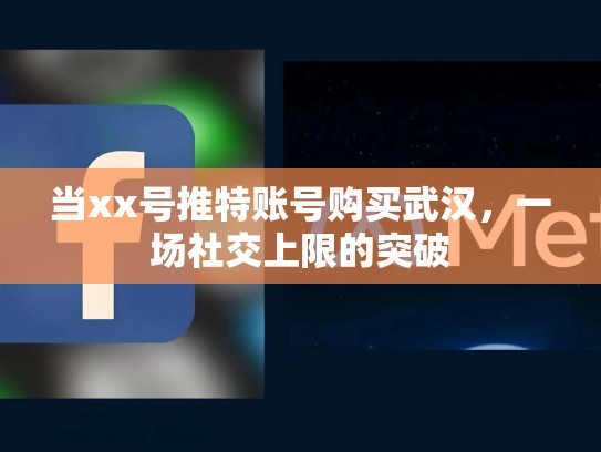 当xx号推特账号购买武汉，一场社交上限的突破