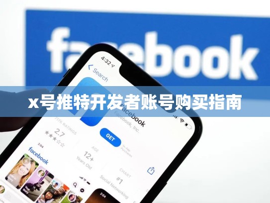 x号推特开发者账号购买指南