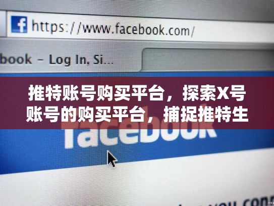 推特账号购买平台，探索X号账号的购买平台，捕捉推特生态中的新机遇