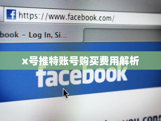 x号推特账号购买费用解析