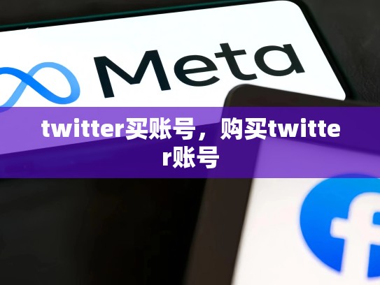 twitter买账号，购买twitter账号