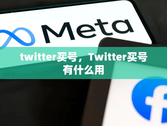 twitter买号，Twitter买号有什么用