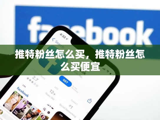 推特粉丝怎么买，推特粉丝怎么买便宜