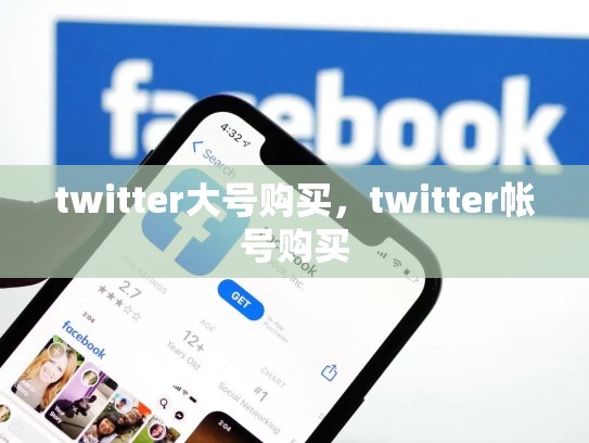 twitter大号购买，twitter帐号购买