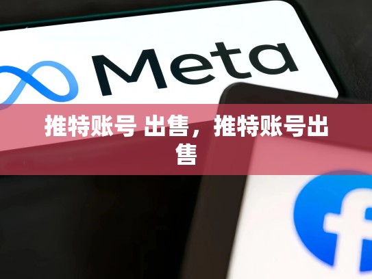 推特账号 出售，推特账号出售